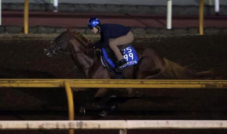 　栗東ＣＷで追い切るビザンチンドリーム（撮影・中田匡峻）