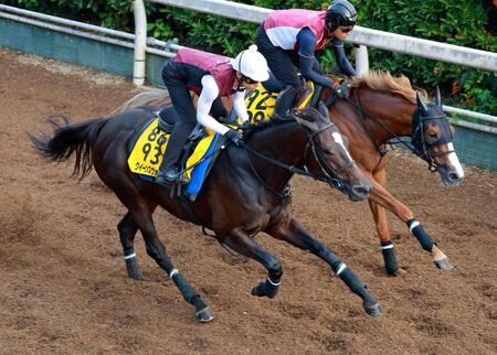 【新潟記念】クイーンズウォーク　仕上がり順調　リズム重視で初の新潟にも手応え　得意の左回りで秋への好スタートを切る