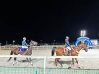 　誘導馬に騎乗した藤田菜七子さんと同期の坂井が騎乗したダブルハートボンド