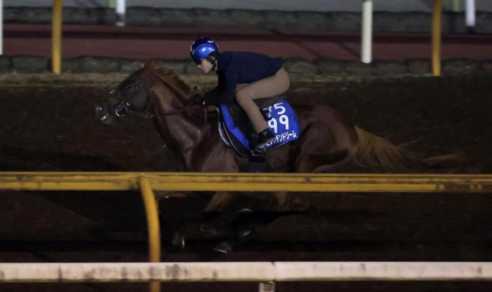 　栗東ＣＷで追い切るビザンチンドリーム（撮影・中田匡峻）