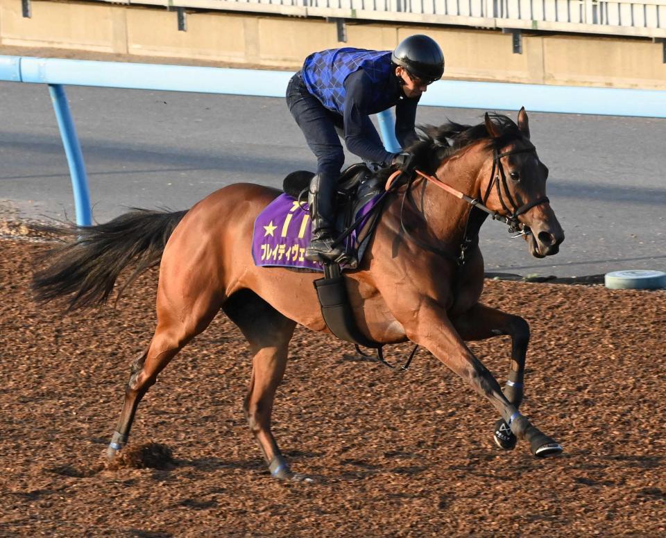 競馬の極み 阪神JF】ブラウンラチェットはマイナス10kg…調教後の馬体重 | 競馬