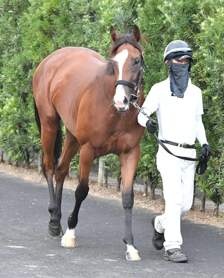 　黒岩師も素質を評価するガローファノ