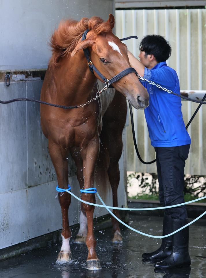 ダーリングハースト