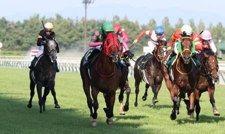 　新潟記念を勝利したシランケド（中央）