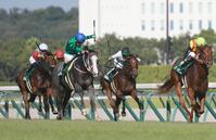 　中京２歳Ｓを制したキャンディード（中央左）