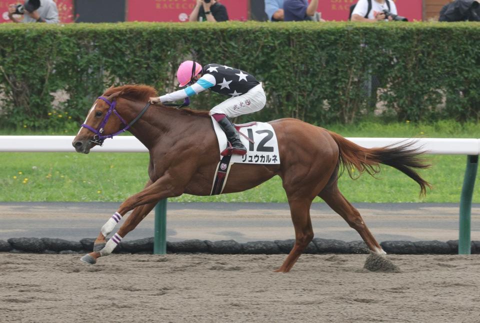 　横山武を背にデビュー戦を完勝したリュウカルネ