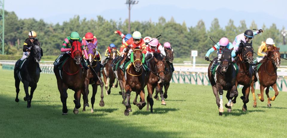 　大外から差し切るシランケド（左から２頭目）。右から３頭目はエネルジコ