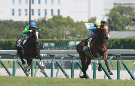 【新馬戦】カヴァレリッツォ　５馬身差圧巻Ｖ　北村友は素質を高く評価「いいエンジンを持っている馬」