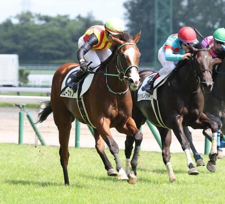【新馬戦】ガローファノ 振り切って1番人気応えた 黒岩師は成長に期待「まだ芯が入っていない」