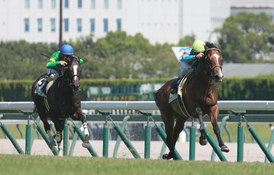 　新馬戦を制したカヴァレリッツォ（右）