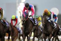 エリザベス女王杯を制し３冠を達成したメイショウマンボと武幸四郎＝２０１３年１１月１０日