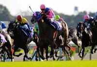 直線で追うごとに伸び、牝馬の２冠を制したメイショウマンボ（中央）＝２０１３年１０月１３日