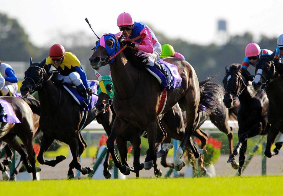 直線で追うごとに伸び、牝馬の２冠を制したメイショウマンボ（中央）＝２０１３年１０月１３日