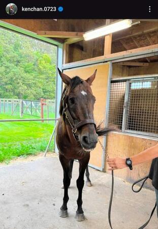 池添謙一のインスタグラム＠ｋｅｎｃｈａｎ．０７２３から