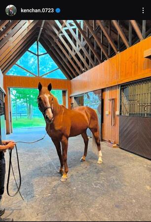 池添謙一のインスタグラム＠ｋｅｎｃｈａｎ．０７２３から