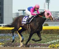 　フェブラリーＳを制したメイショウボーラー＝２００５年２月