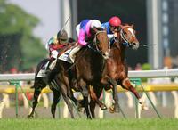 アドマイヤメイン（右）と叩き合うメイショウサムソン（中央）＝２００６年５月