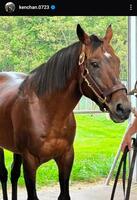 池添謙一のインスタグラム＠ｋｅｎｃｈａｎ．０７２３から