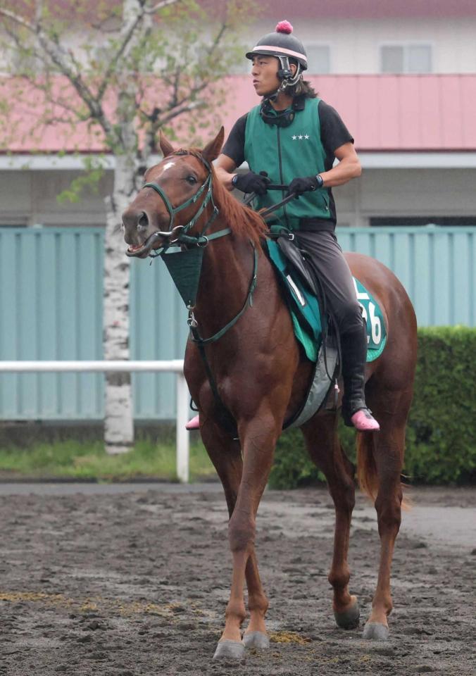 　ＳＮＳで人気を博した姉の背中を追いかけるアーレムアレス（撮影・西岡正）