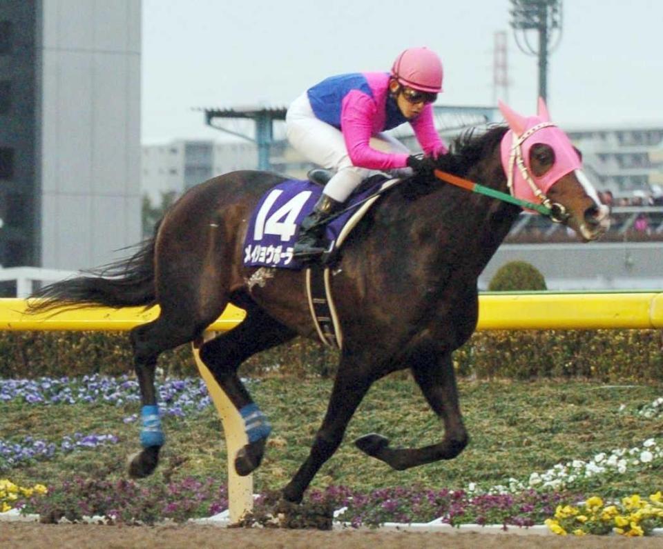 　フェブラリーＳを制したメイショウボーラー＝２００５年２月