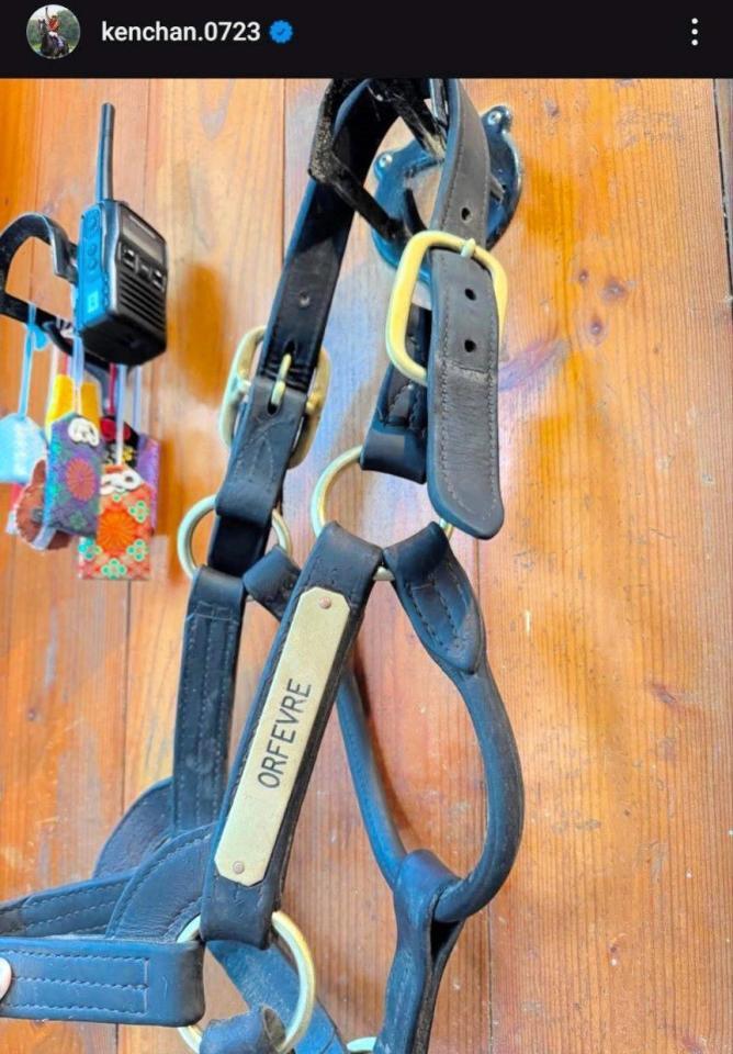 池添謙一のインスタグラム＠ｋｅｎｃｈａｎ．０７２３から