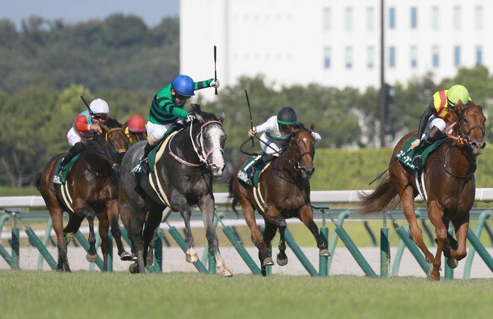 　中京２歳Ｓを制したキャンディード（中央左）＝８月３１日