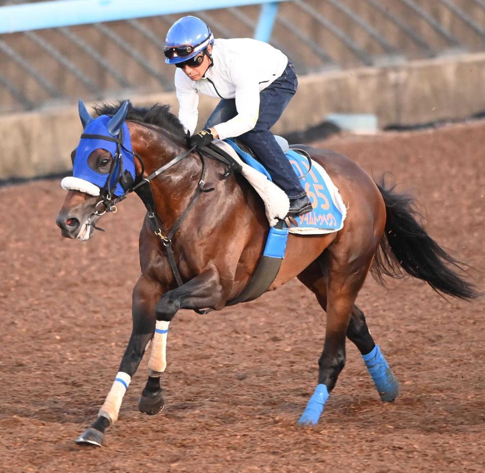 　９カ月ぶりに復帰する柴田善を背に復活Ｖを狙うタイムトゥヘヴン