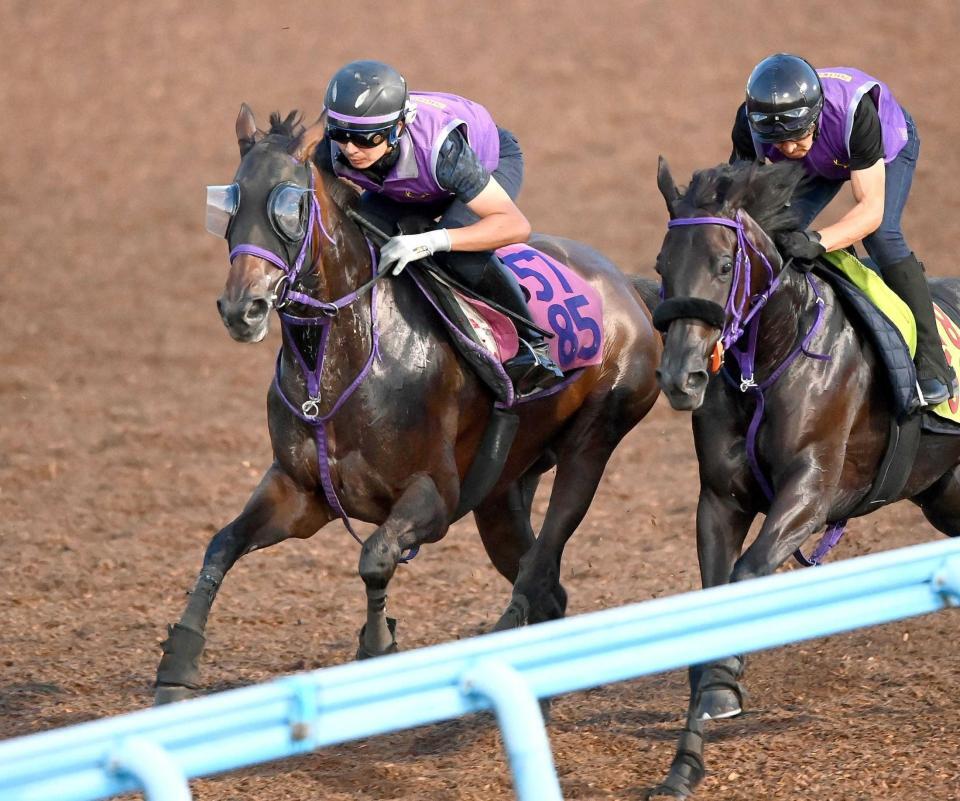 　美浦Ｗ併せで追い切ったジョスラン（左）