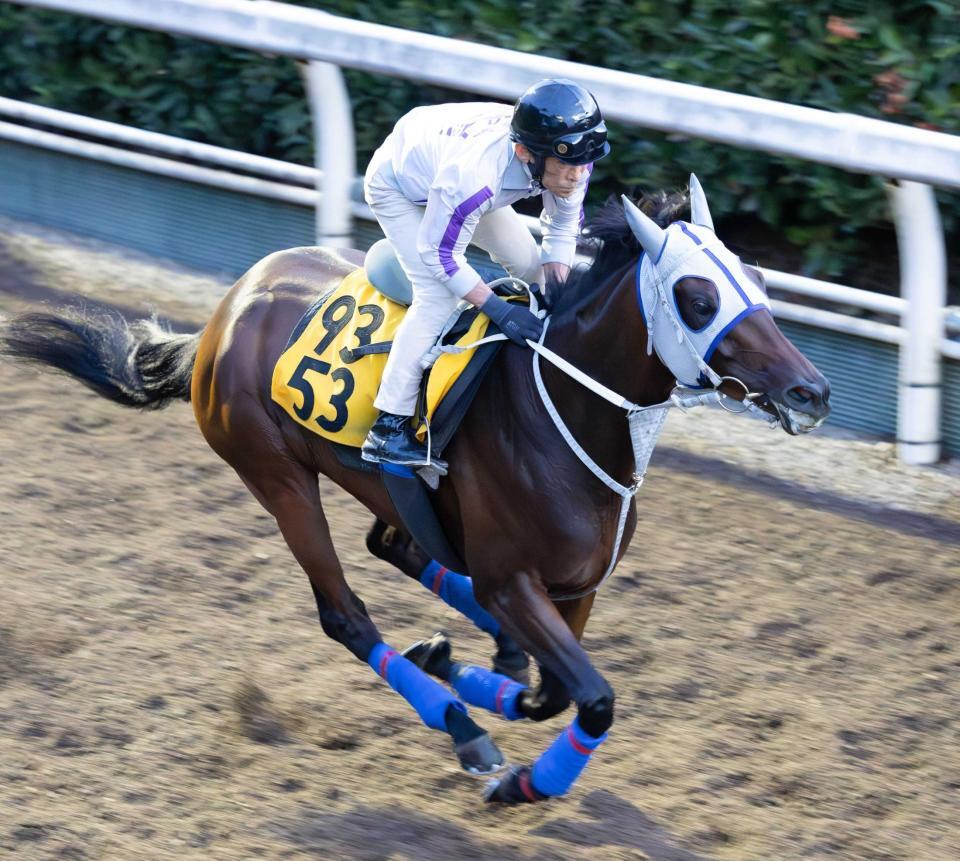 　石橋師が騎乗して最終調整を行ったワンダーキサラ