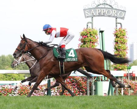 　ゴール前でジーネキングを差し切ったショウナンガルフ（手前）＝撮影・西岡正