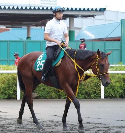 　テーオーレックスとされていたヒエンジョー＝９月２日撮影