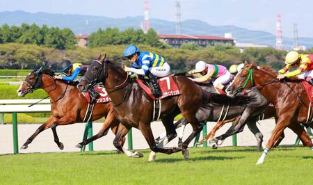 　豪快に差し切るカンチェンジュンガ（中央）＝撮影・石湯恒介