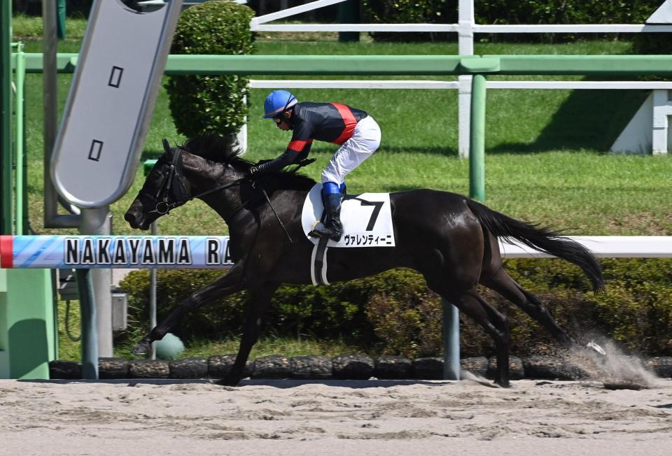 　新馬戦を制したヴァレンティーニ（撮影・持木克友）