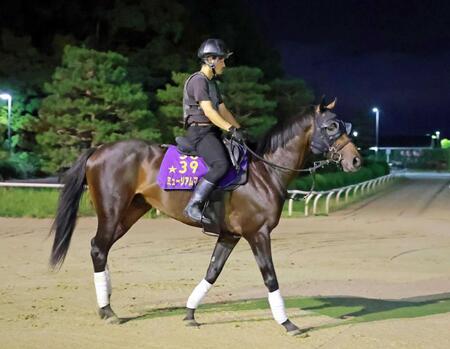 　データも後押し！主役を務めるミュージアムマイル