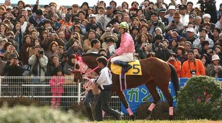 「負け組の星」ハルウララ死す 113戦で1度も勝てず-社会現象巻き起こし高知競馬救ったアイドルホース