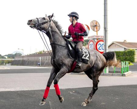 【セントライト記念】ヤマニンブークリエ 名手横山典と反撃だ 期待通りの成長に陣営も自信 右回りの舞台を歓迎