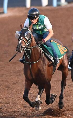 【新馬戦】レイヒストリコ 素質十分 近親に14年桜花賞馬ハープスター 黒岩師「長くいい脚を使える」中山もフィット