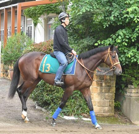 　首位を堅守したダノンヒストリー
