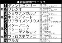 　若駒格付けチェック