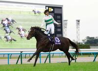 　ソウルラッシュでマイルＣＳを制し、ガッツポーズする団野＝２０２４年１１月