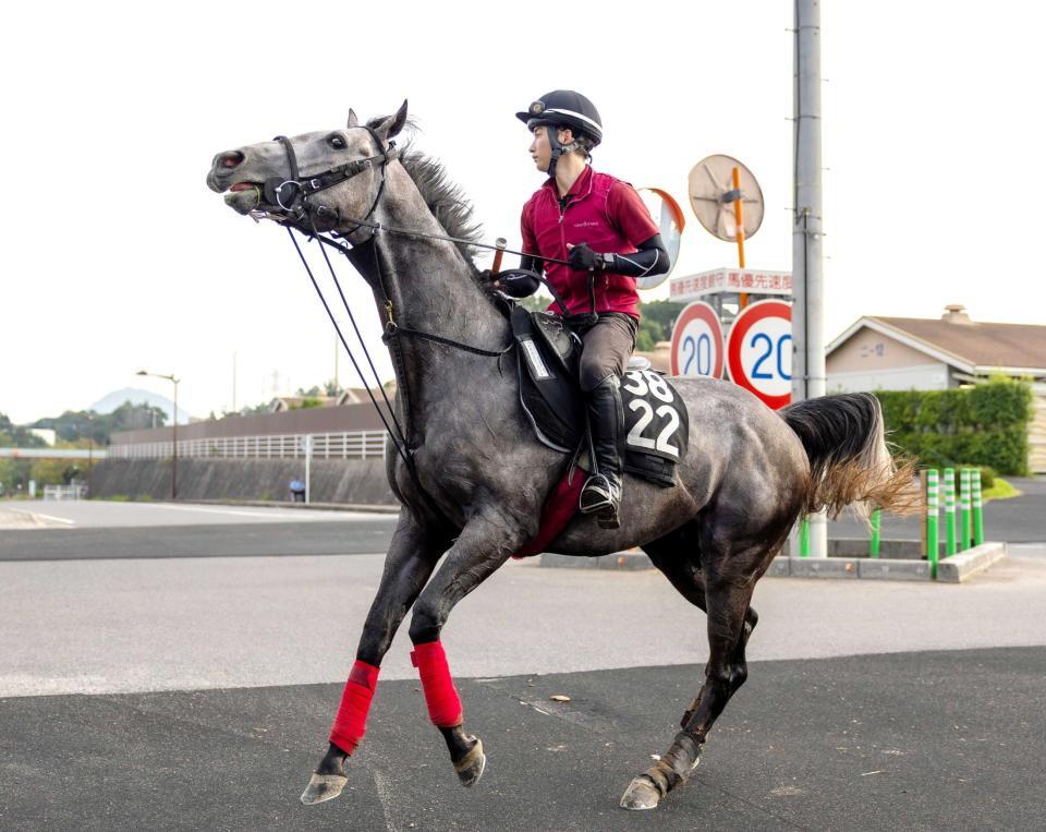 　連勝を目指すヤマニンブークリエ（撮影・石湯恒介）