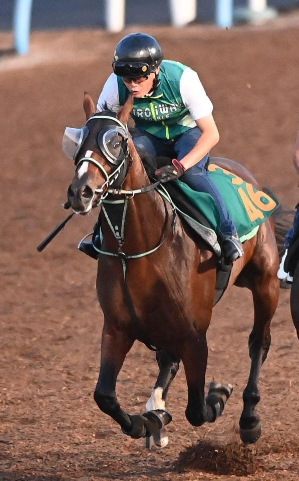 　レイヒストリコ＝美浦トレセン（撮影・園田高夫）