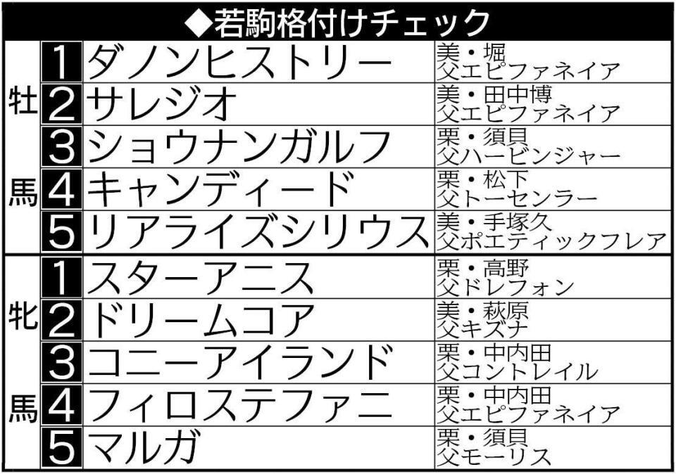 　若駒格付けチェック