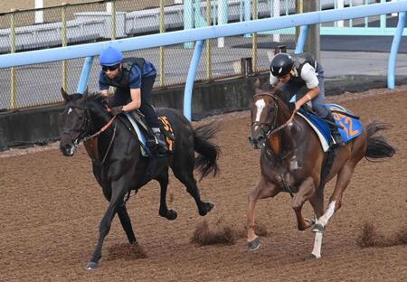 　久々でもしっかりと態勢を整えたファイアンクランツ（左）＝撮影・持木克友