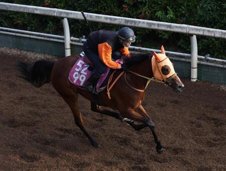 　チェルビアット