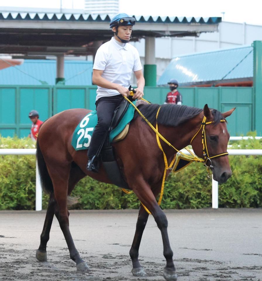 　テーオーレックスとされていたヒエンジョー＝９月２日撮影