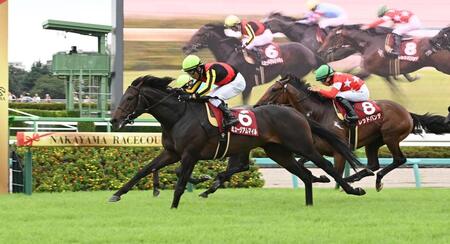 　セントライト記念を制したミュージアムマイル（撮影・持木克友）