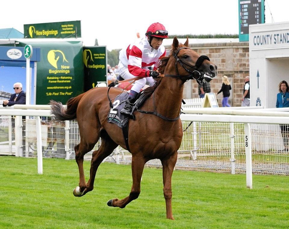 　インターナショナルＳで５着に終わったダノンデサイル（８月２０日、撮影・平松さとし）