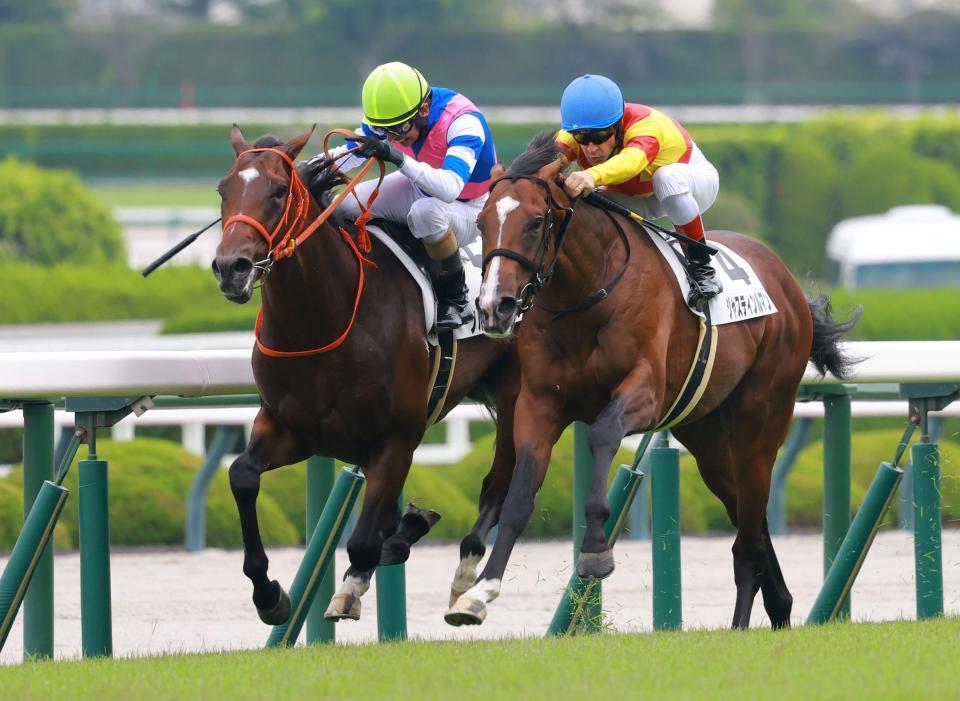 　新馬戦を快勝したブルースカイブルー（左）＝撮影・石湯恒介