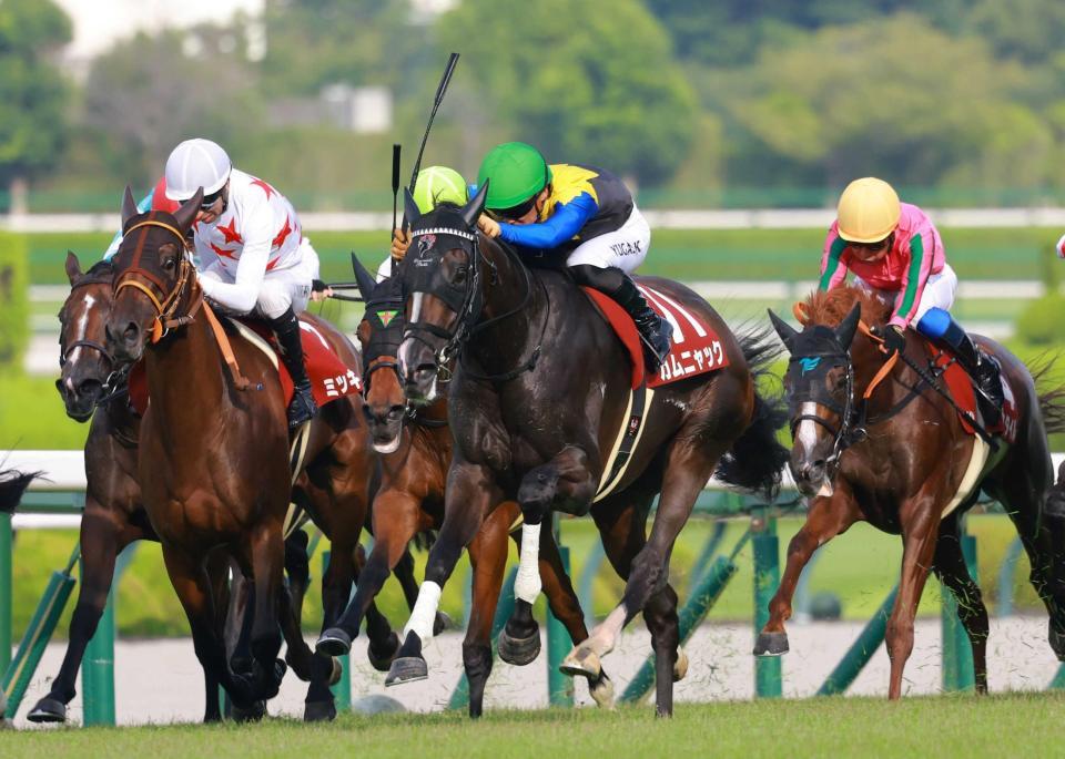 　直線で抜け出すカムニャック（中央）＝撮影・石湯恒介